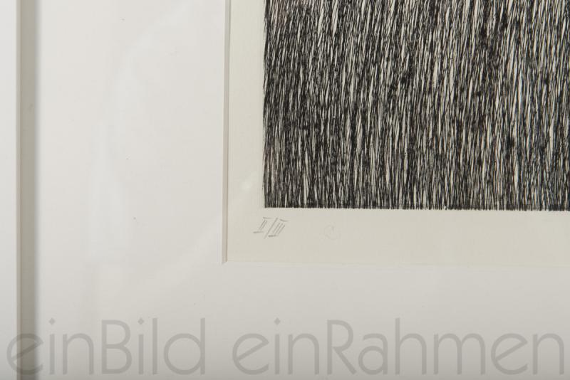 Feine Striche durch Kaltnadelradierung und Aquatina auf Büttenpapier von dem bekannten Künstler Johannes Haider in der KunstGallerie einBild einRahmen